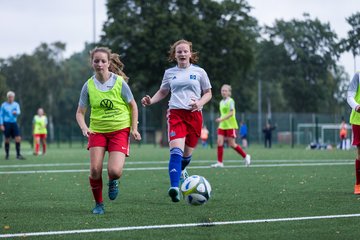 Bild 299 - C-Juniorinnen HSV - Walddoerfer : Ergebnis: 9:1